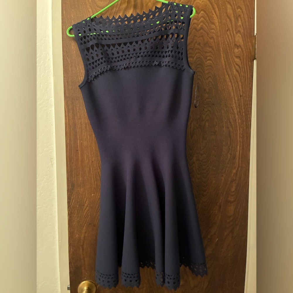 Alaia Navy Mini Dress